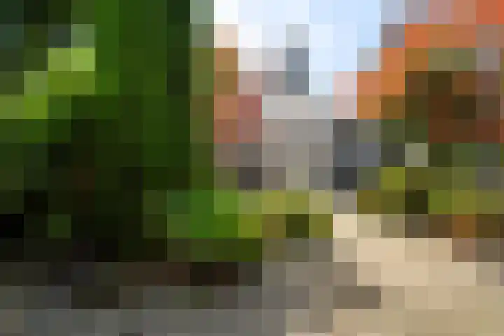 Hindenweide 39 Zoetermeer thumbnail 42