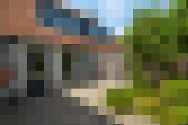 Hindenweide 39 Zoetermeer thumbnail 43