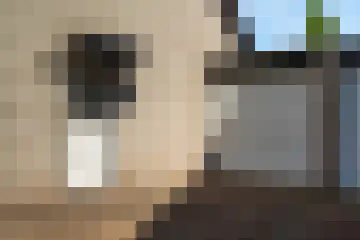 Hindenweide 39 Zoetermeer thumbnail 48