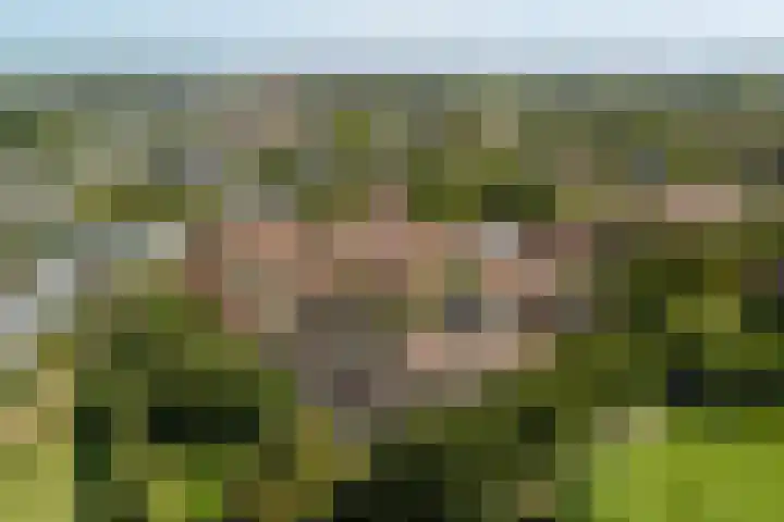 Hindenweide 39 Zoetermeer thumbnail 53