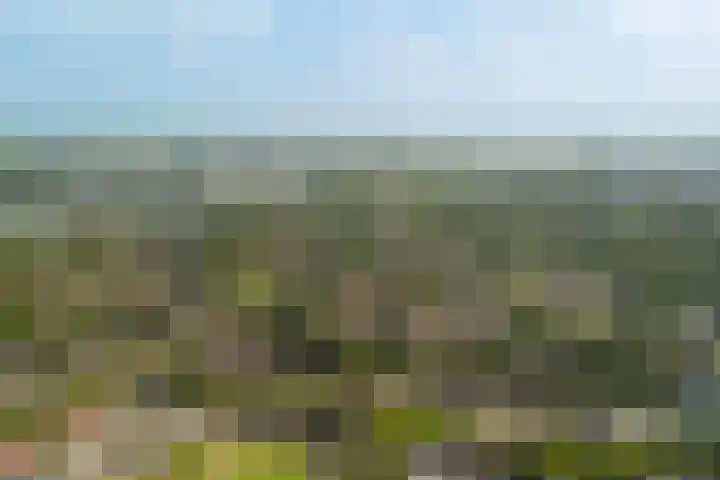 Hindenweide 39 Zoetermeer thumbnail 55