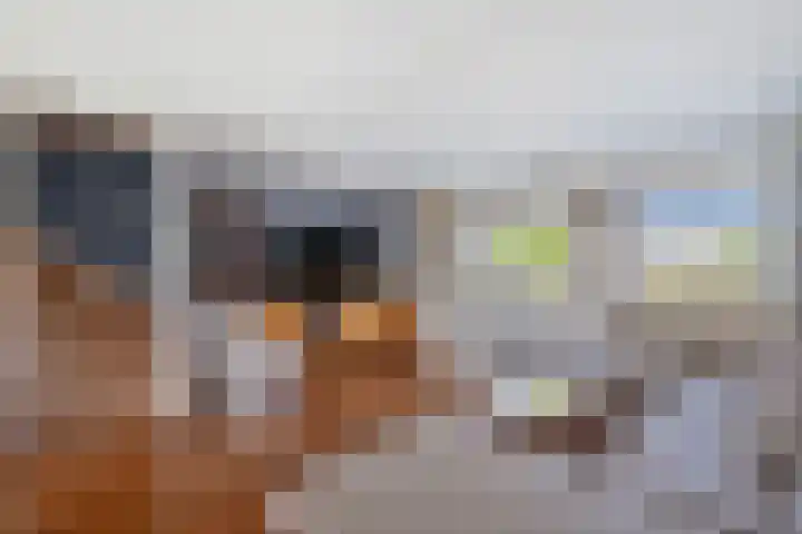 Hinder 20 Brielle thumbnail 10