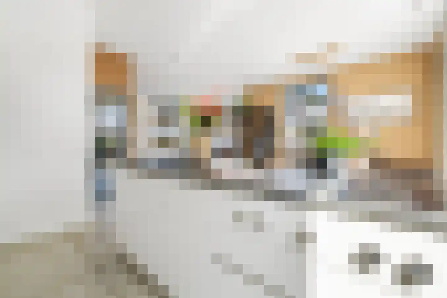 Hinderdampad 1 Weesp thumbnail 11