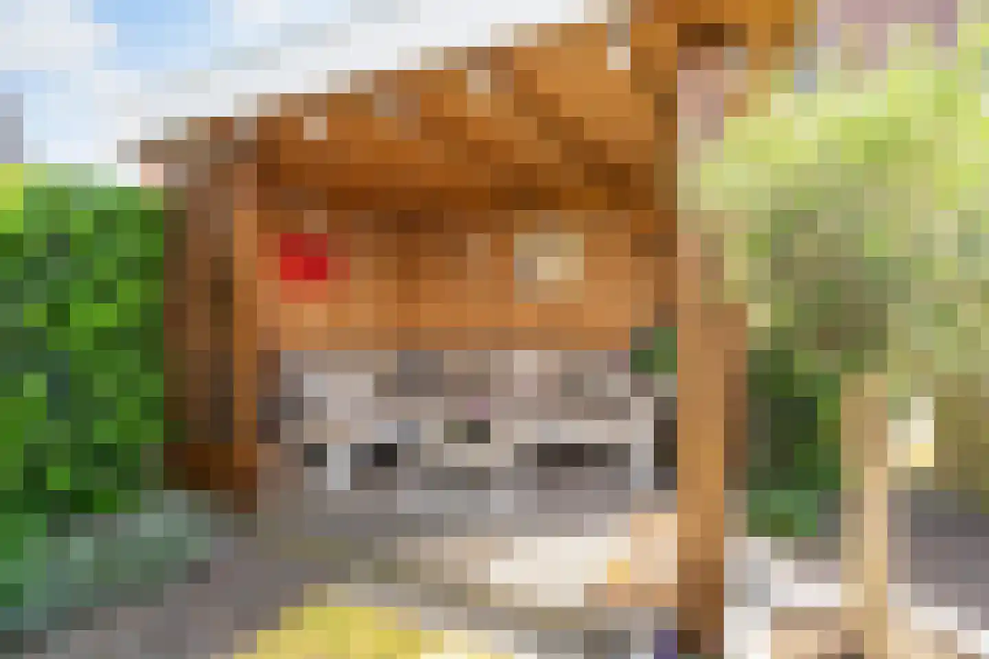 Hinderdampad 1 Weesp thumbnail 14