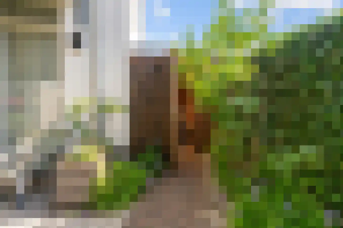 Hinderdampad 1 Weesp thumbnail 19