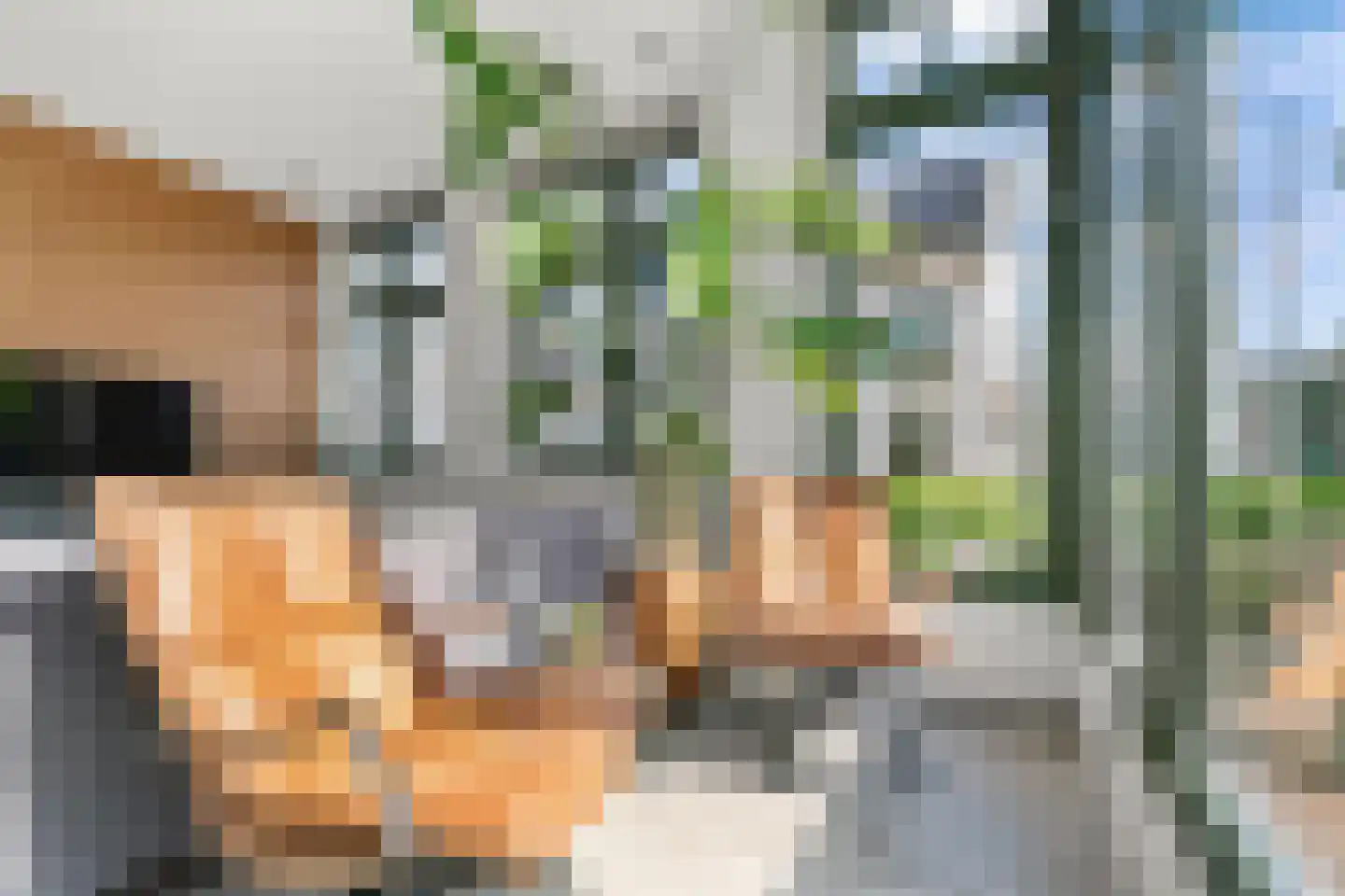 Hinderdampad 1 Weesp thumbnail 4