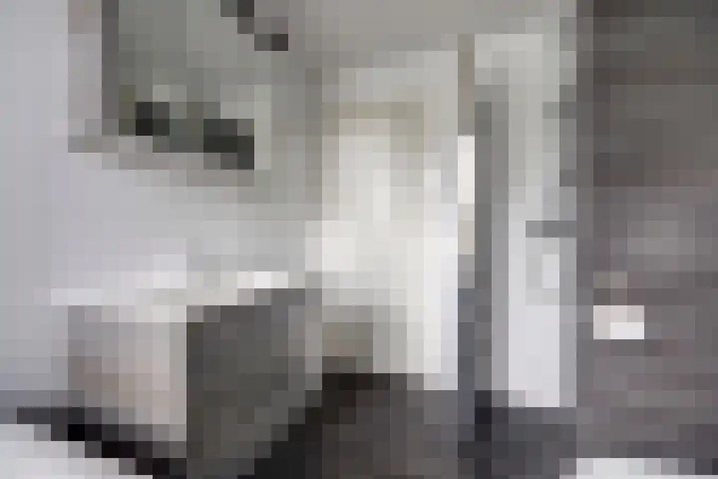 Hinderstein 2 Zwijndrecht thumbnail 25