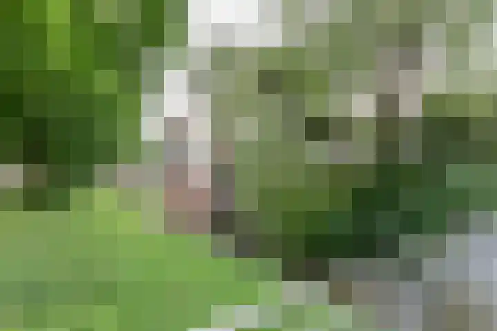 Hinderstein 28 Amersfoort thumbnail 43