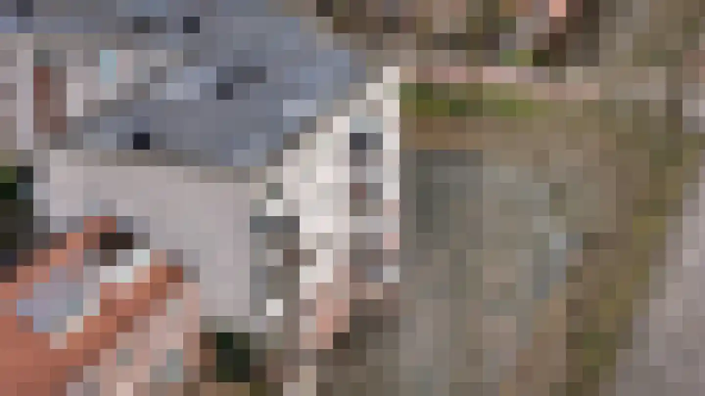 Hinderstein 46 Amersfoort thumbnail 31
