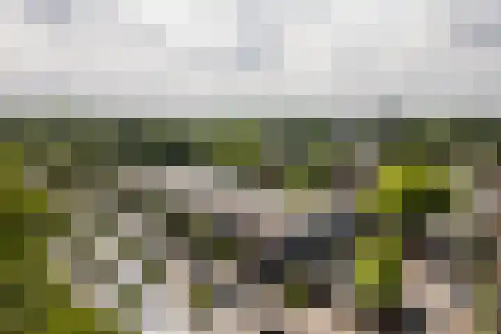 Hindersteinlaan 61 Vleuten thumbnail 22