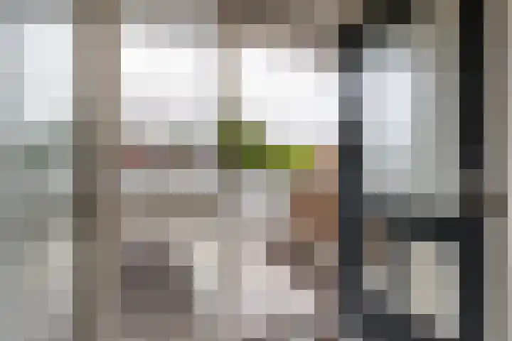 Hindersteinlaan 71 Vleuten thumbnail 7