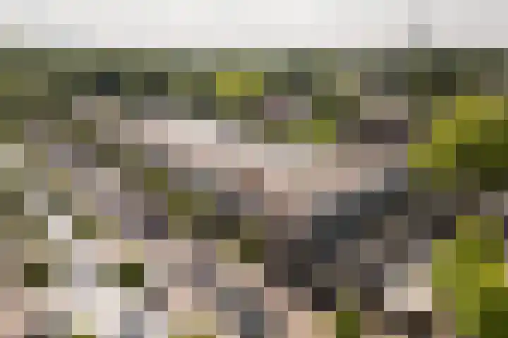 Hindersteinlaan 73 Vleuten