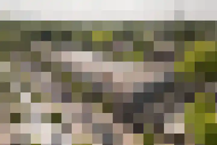 Hindersteinlaan 73 Vleuten thumbnail 20