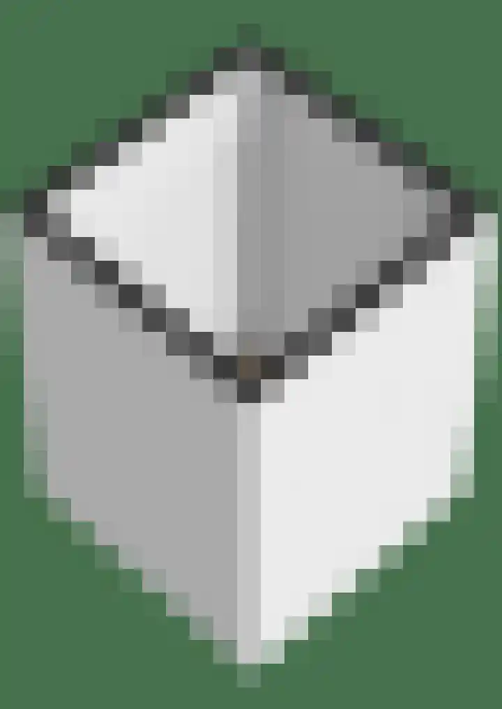 Hindersteinstraat 81 Rotterdam thumbnail 20