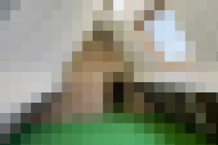 Hindestraat 22 Heerlen thumbnail 22