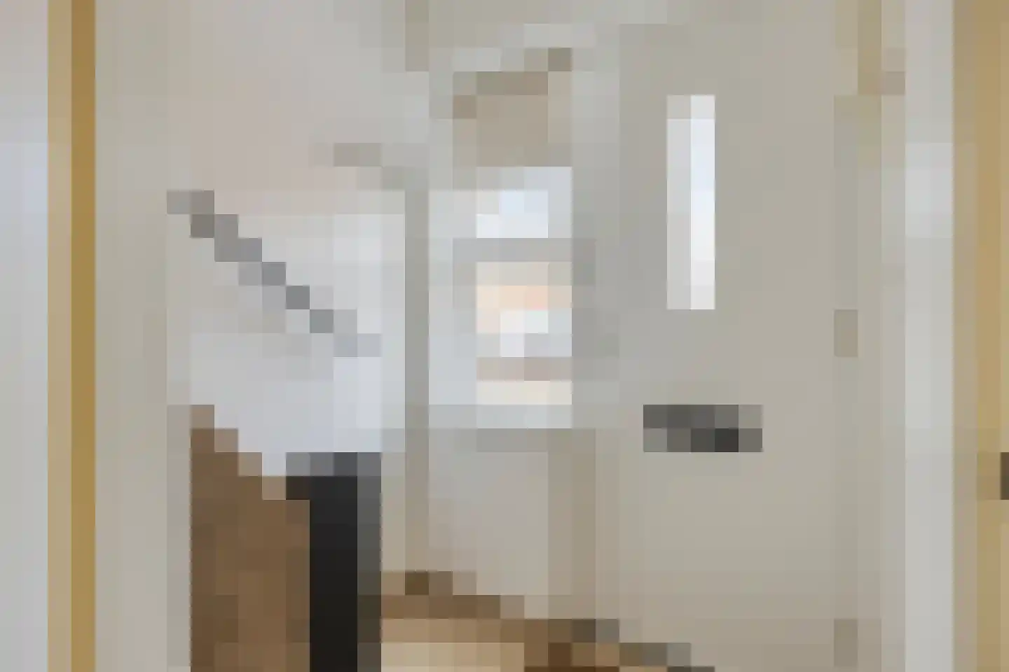 Hindestraat 37 Helmond thumbnail 18