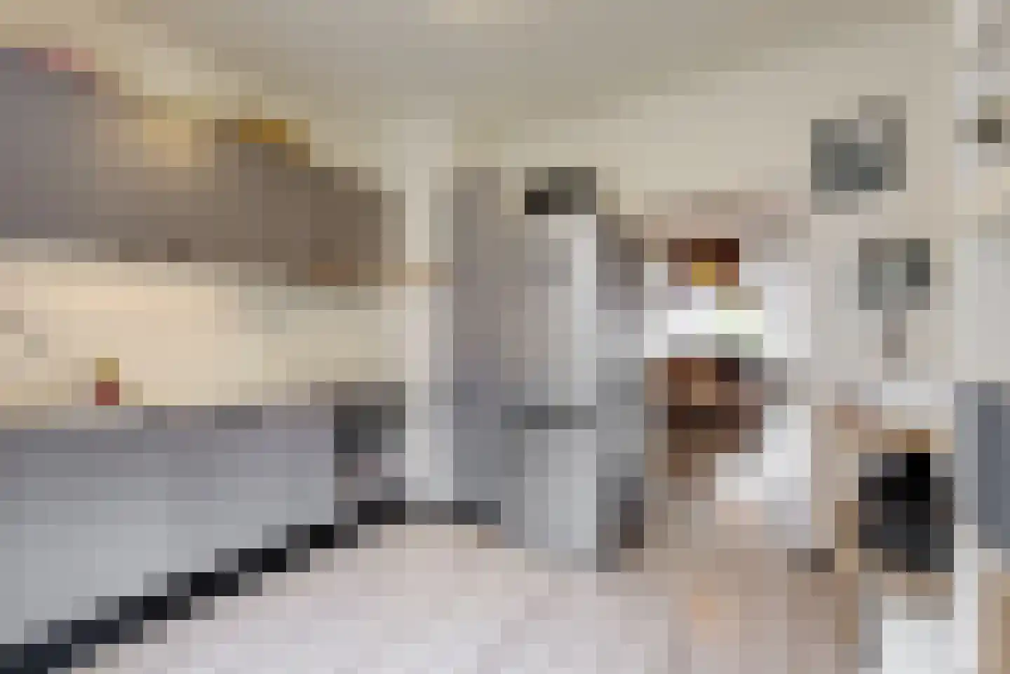 Hindestraat 5 Heerlen thumbnail 14