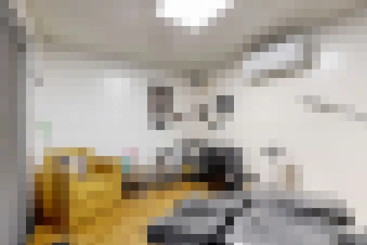 Hindestraat 5 Heerlen thumbnail 30