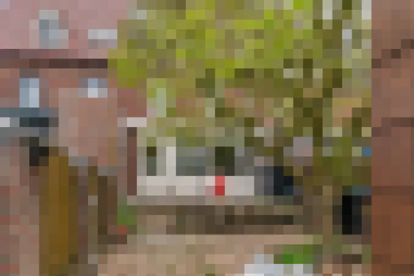 Hindestraat 5 Heerlen thumbnail 34