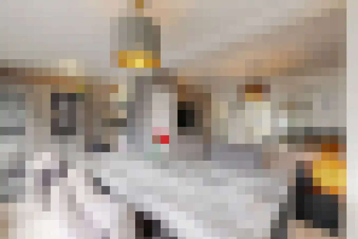 Hindestraat 5 Heerlen thumbnail 8