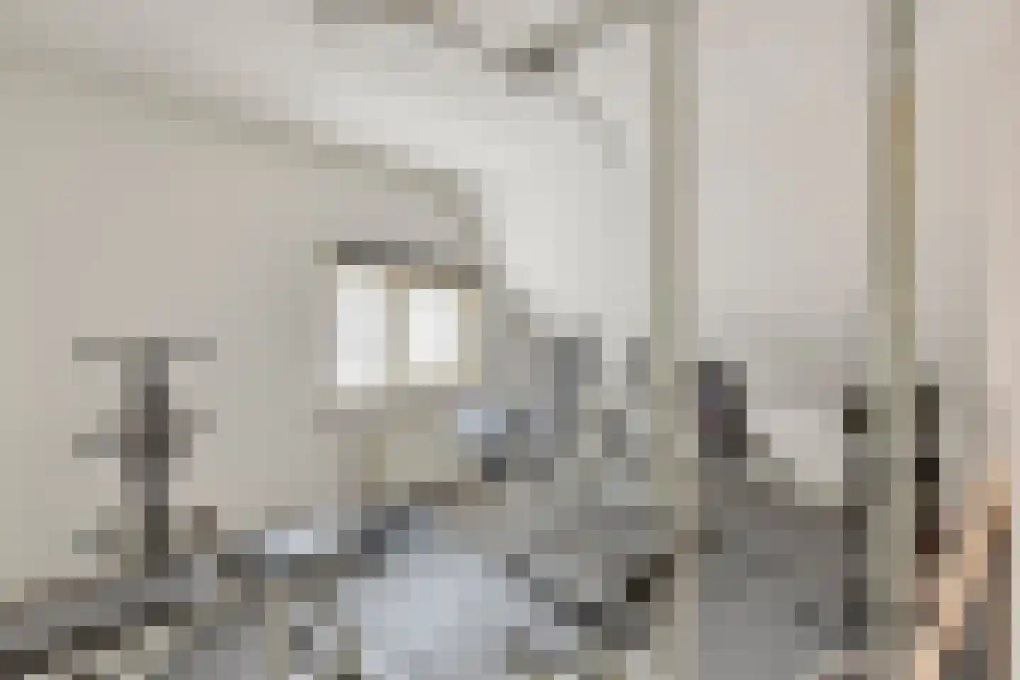 Hindestraat 9 Helmond thumbnail 21