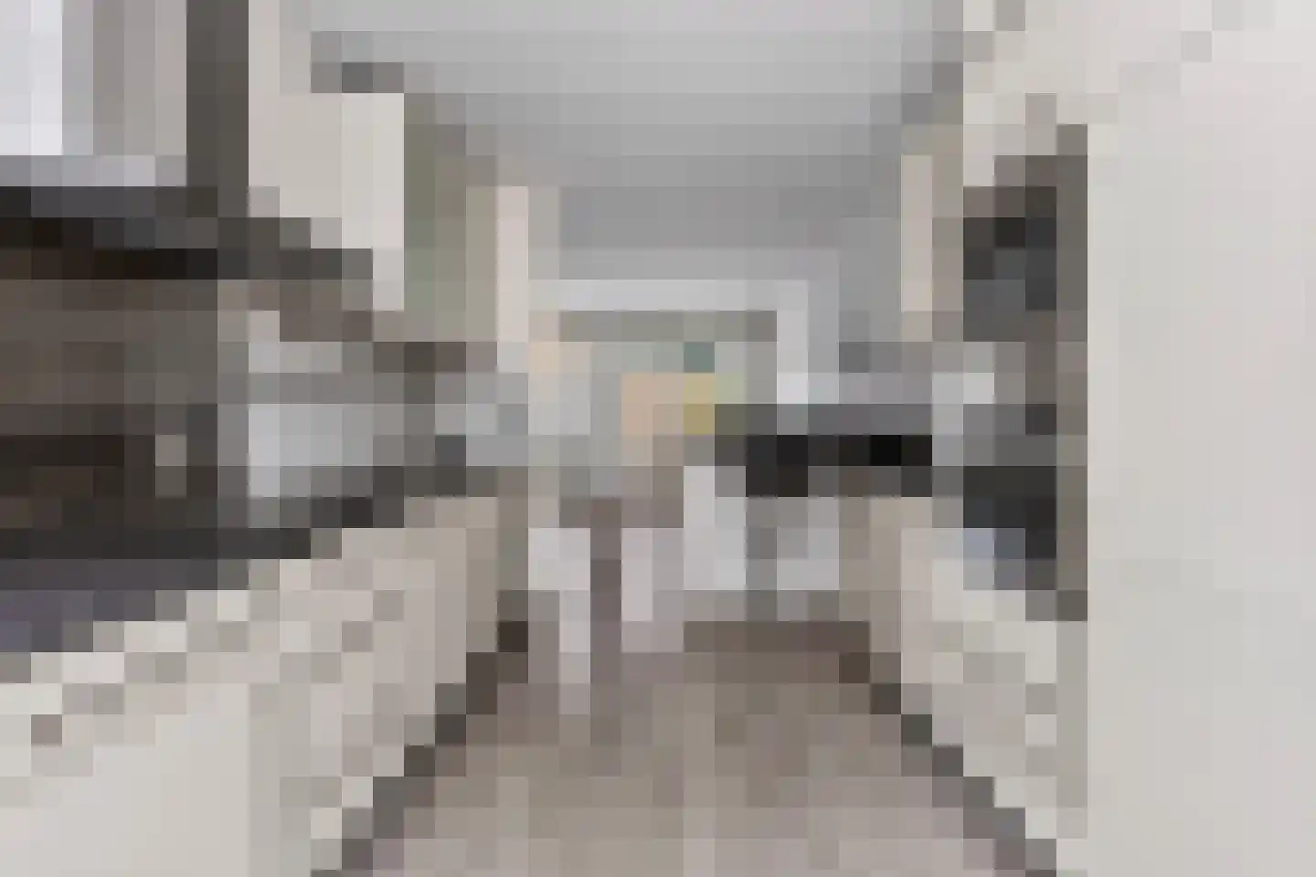 Hindeweide 1 Nieuwegein thumbnail 10