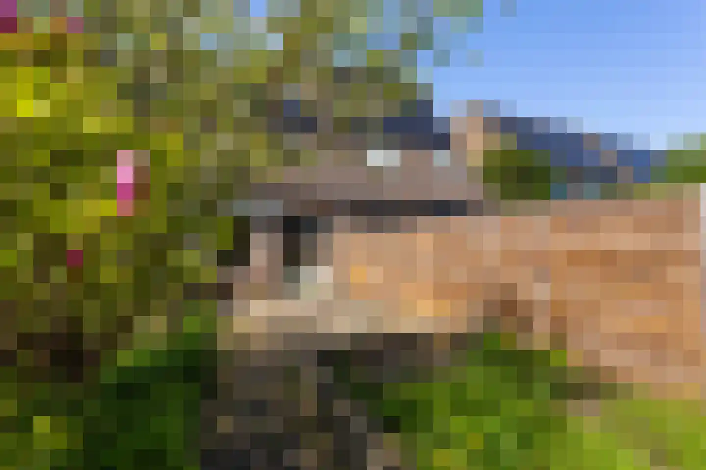 Hindeweide 14 Nieuwegein thumbnail 11