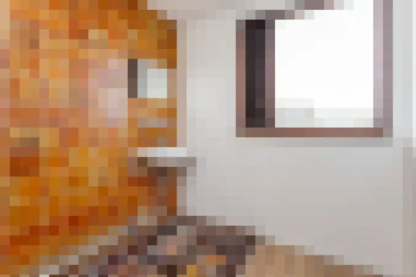 Hindeweide 14 Nieuwegein thumbnail 32