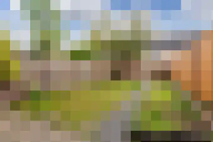 Hindeweide 32 Nieuwegein thumbnail 15