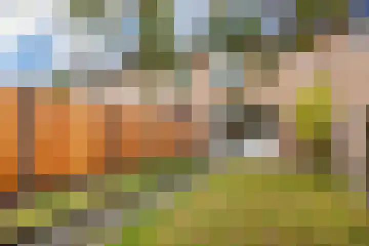 Hindeweide 32 Nieuwegein thumbnail 17