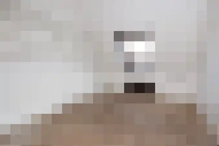 Hindeweide 32 Nieuwegein thumbnail 33