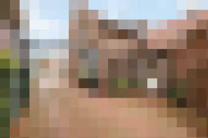 Hingenderstraat 26 Sint Joost thumbnail 32