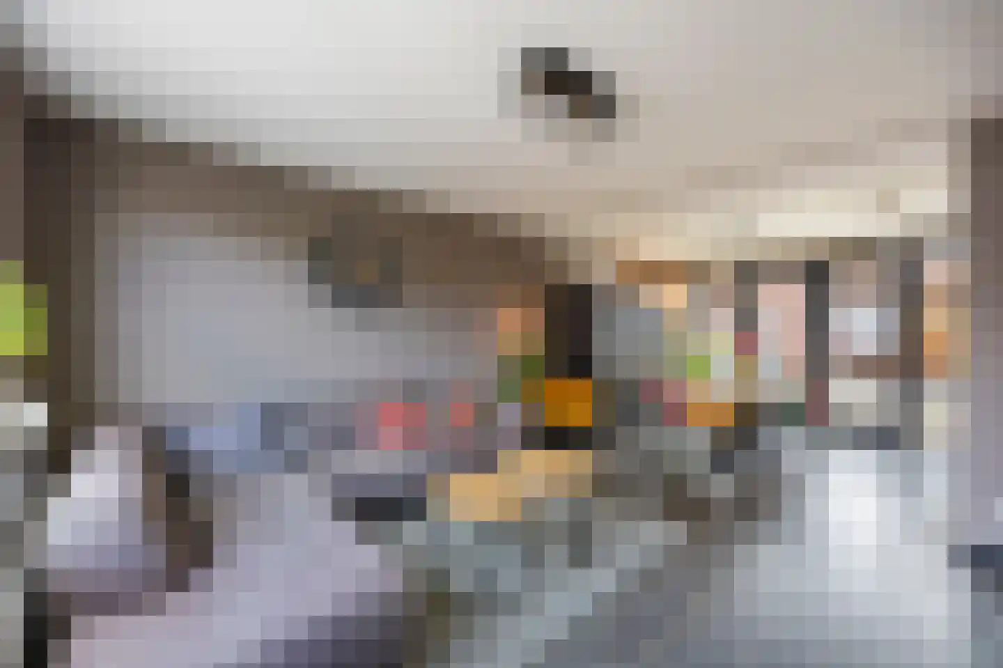 Hingenderstraat 32 Sint Joost thumbnail 13