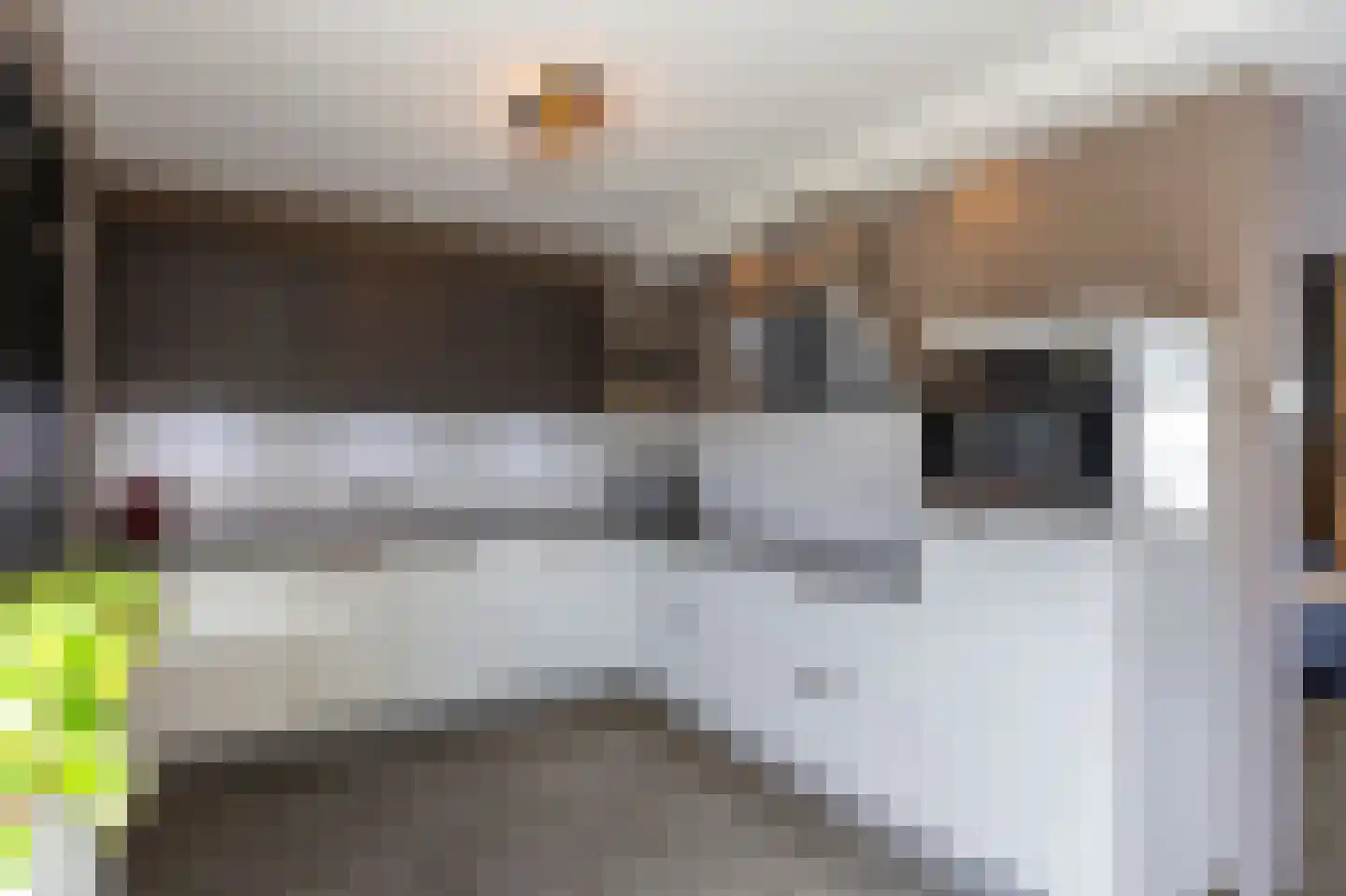 Hingenderstraat 32 Sint Joost thumbnail 21