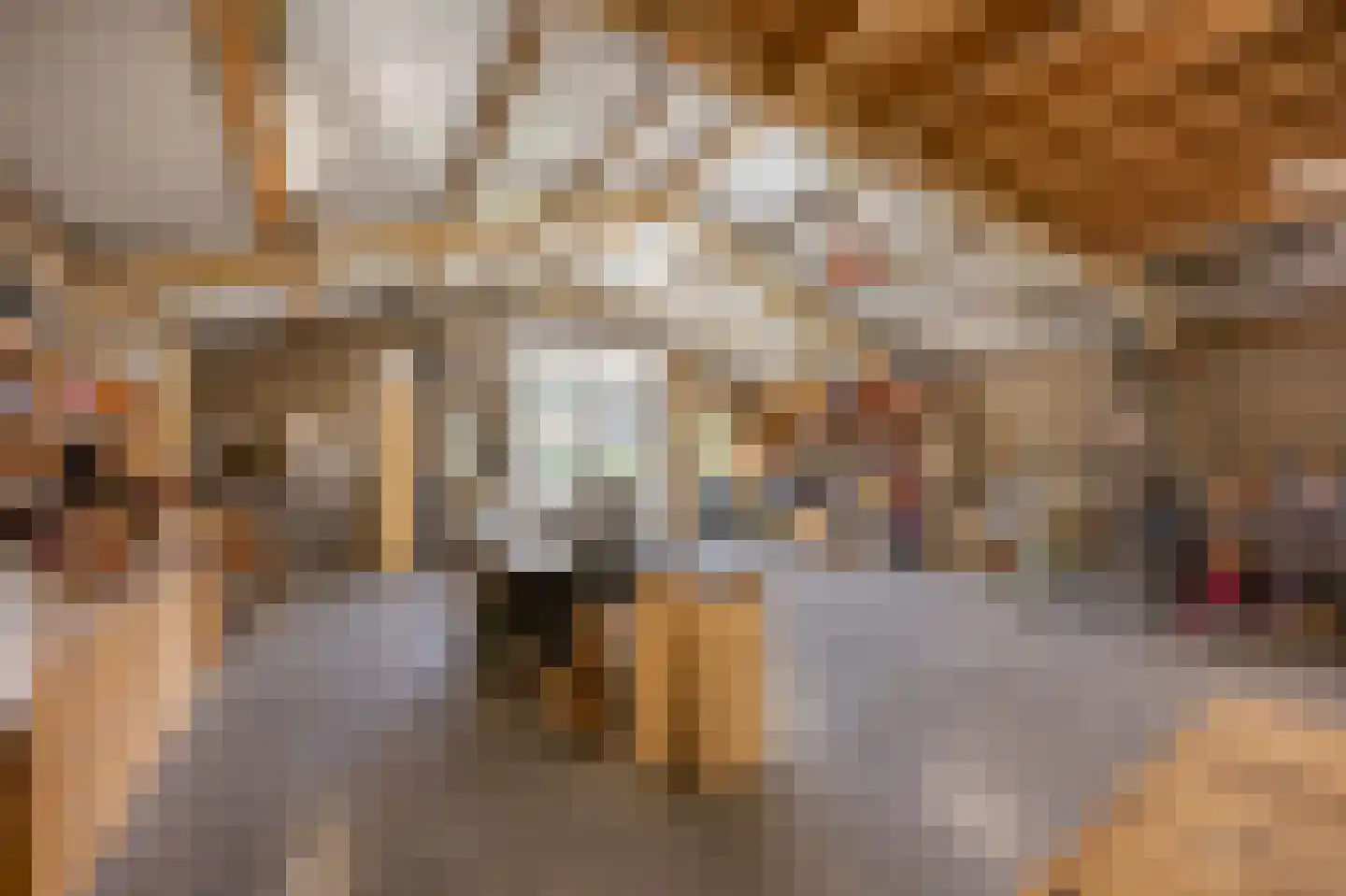 Hingenderstraat 32 Sint Joost thumbnail 44