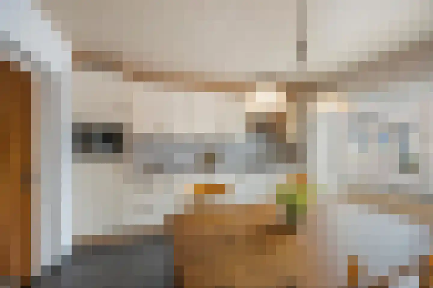 Hingenderstraat 34 Sint Joost thumbnail 18