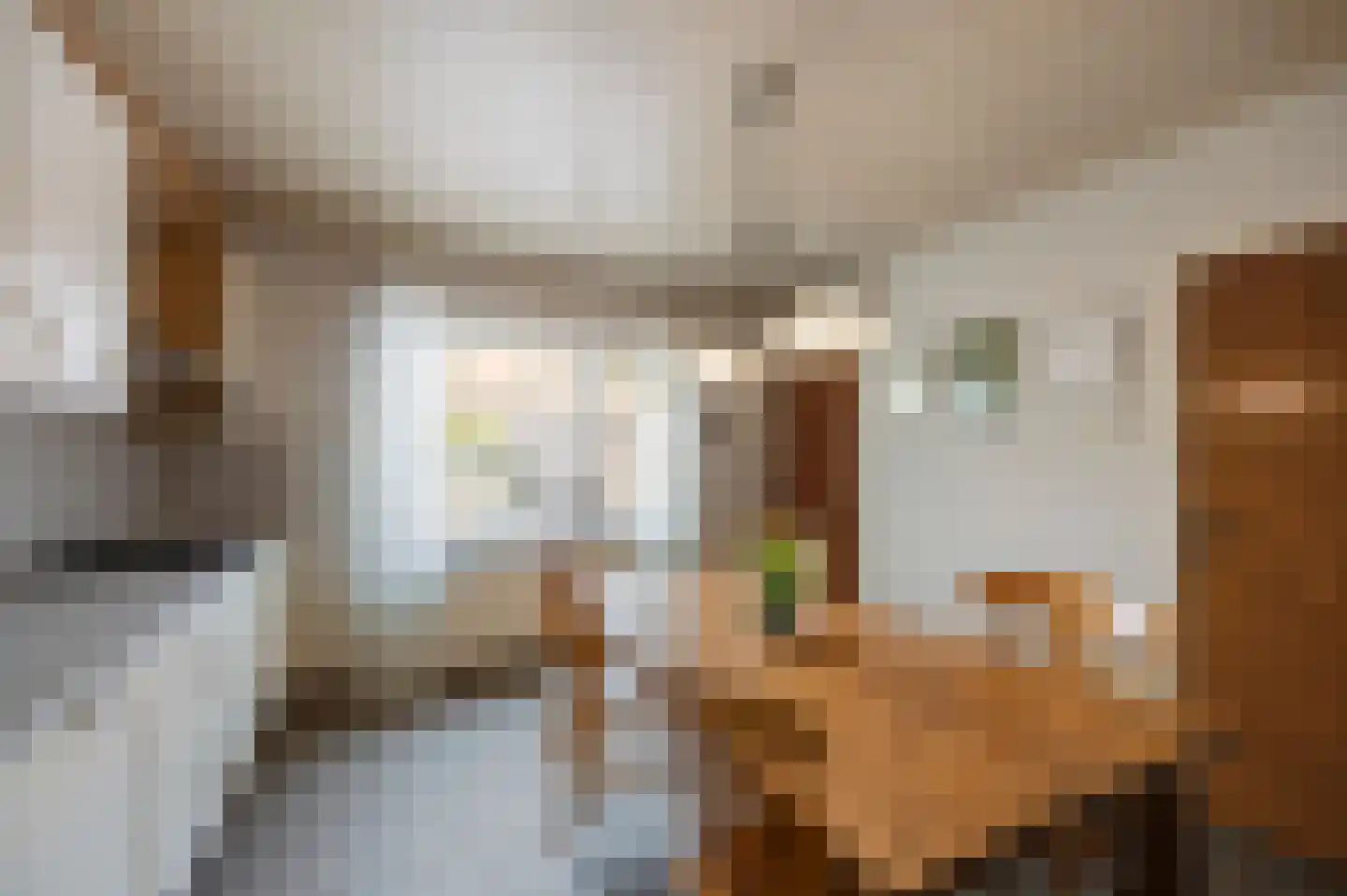 Hingenderstraat 34 Sint Joost thumbnail 20