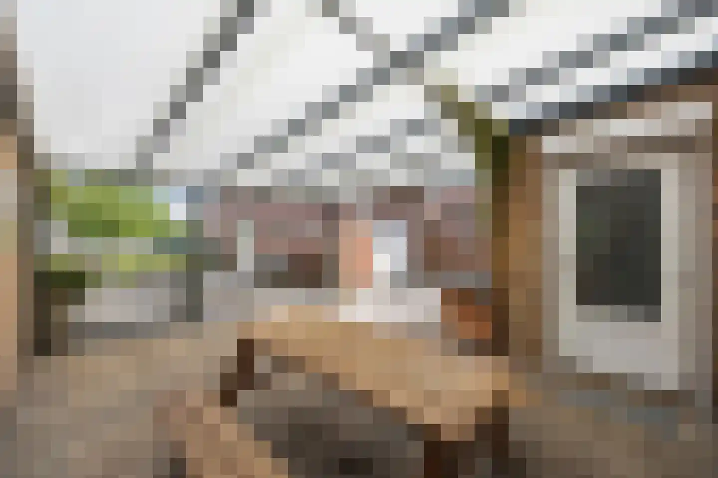 Hingenderstraat 34 Sint Joost thumbnail 26