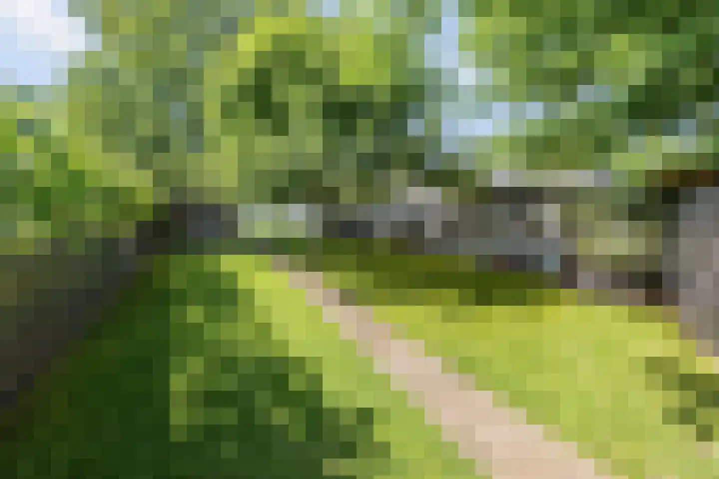 Hingenderstraat 34 Sint Joost thumbnail 41