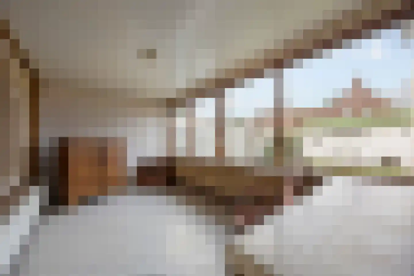 Hingenderstraat 64 Sint Joost thumbnail 18