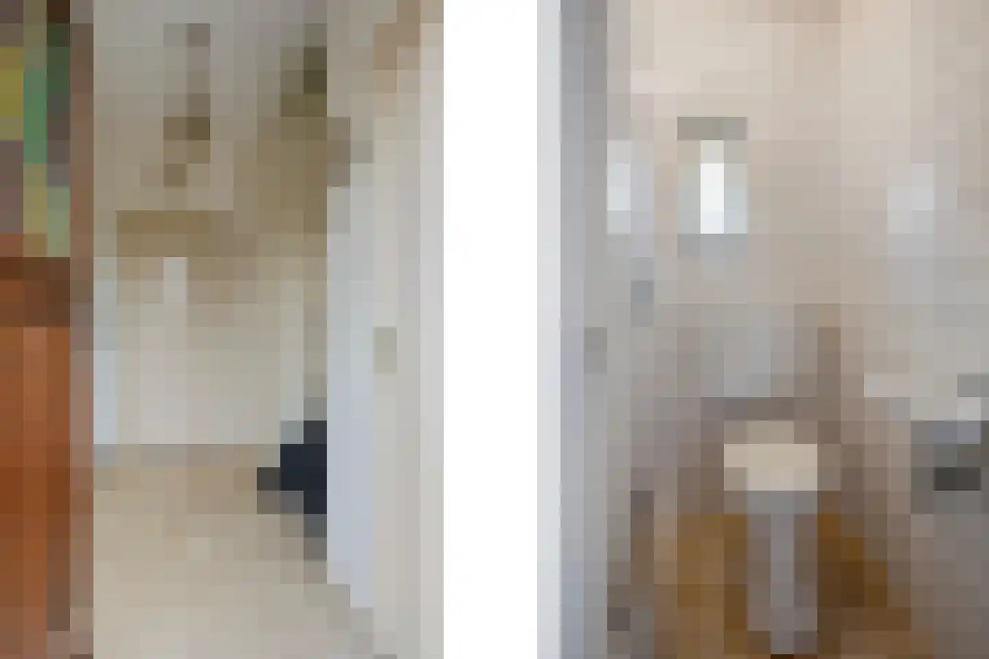 Hingenderstraat 64 Sint Joost thumbnail 8