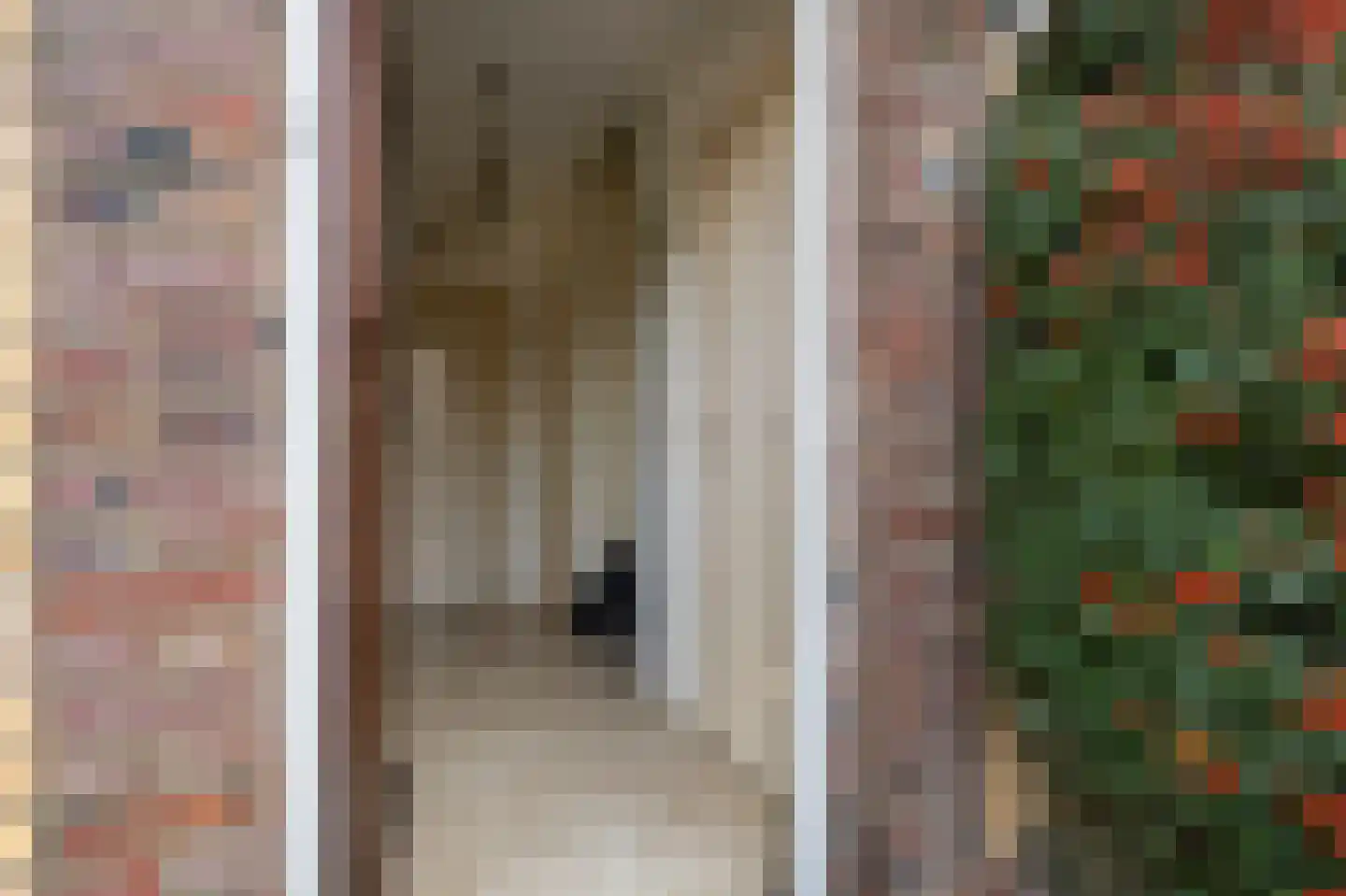 Hingenderstraat 64 Sint Joost thumbnail 9