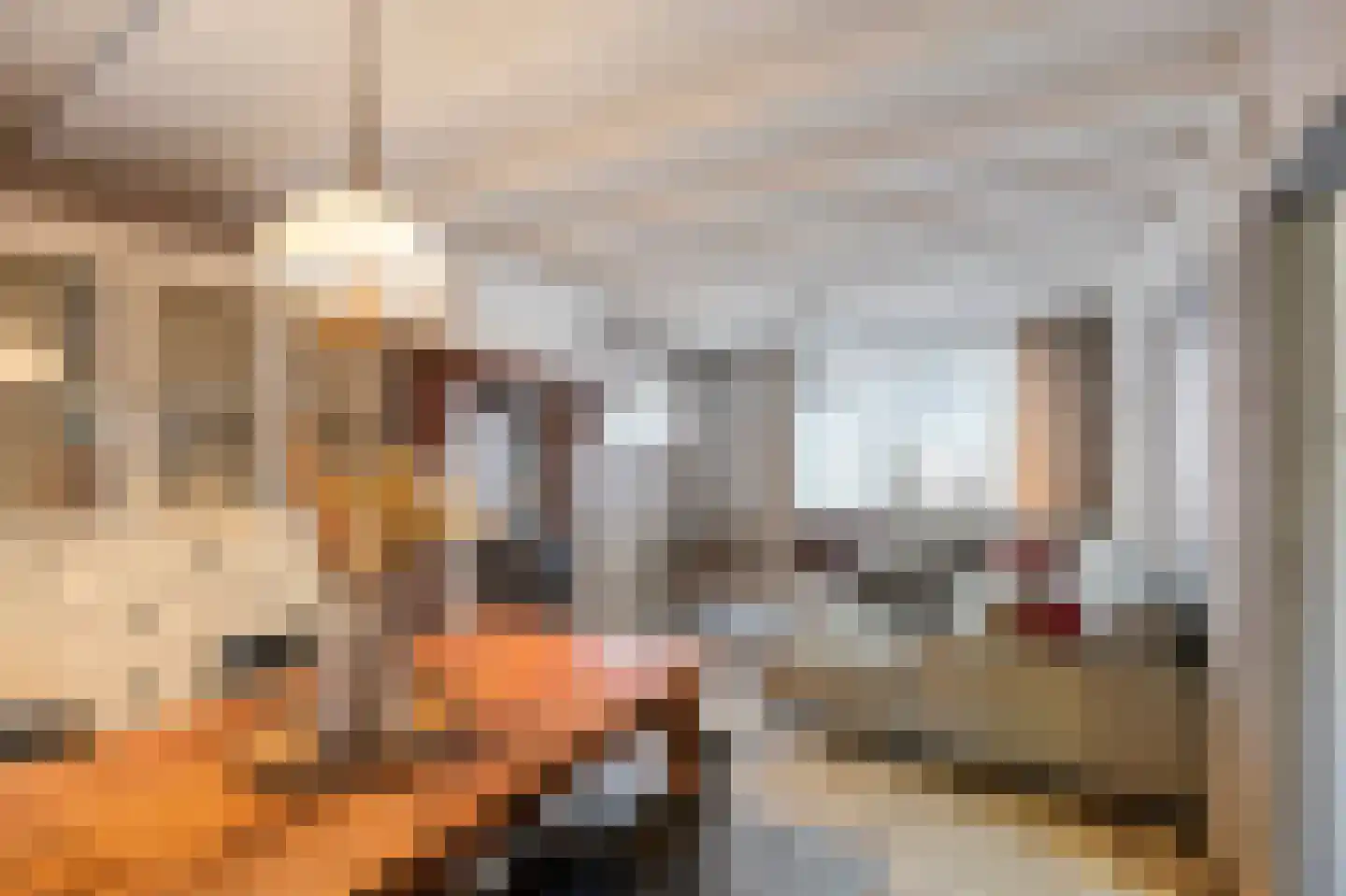 Hingenderstraat 72 Sint Joost thumbnail 10