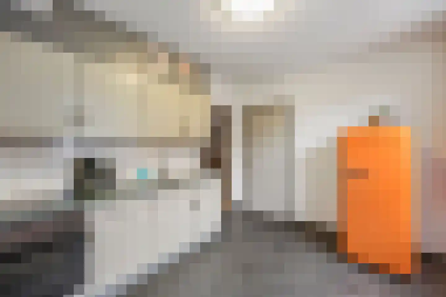 Hingenderstraat 72 Sint Joost thumbnail 19