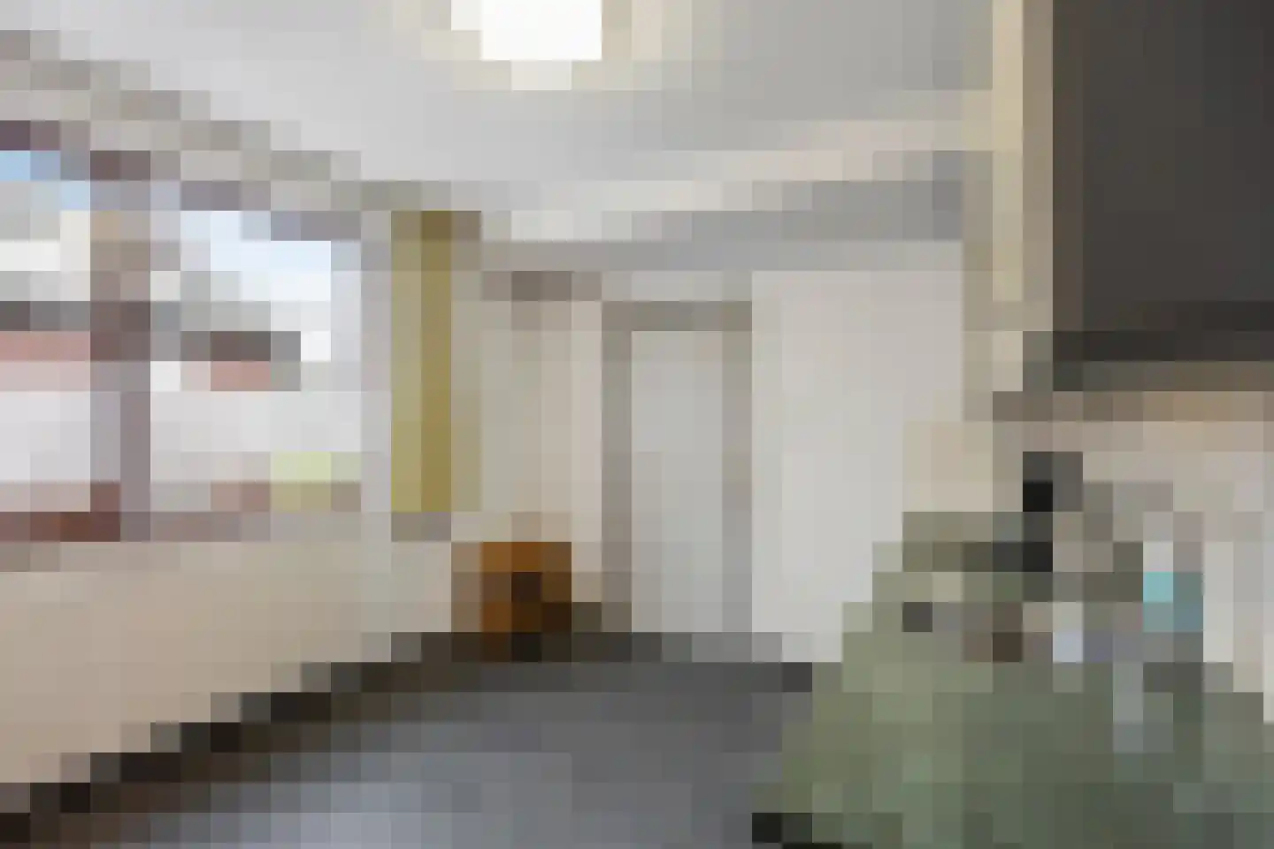 Hingenderstraat 72 Sint Joost thumbnail 20