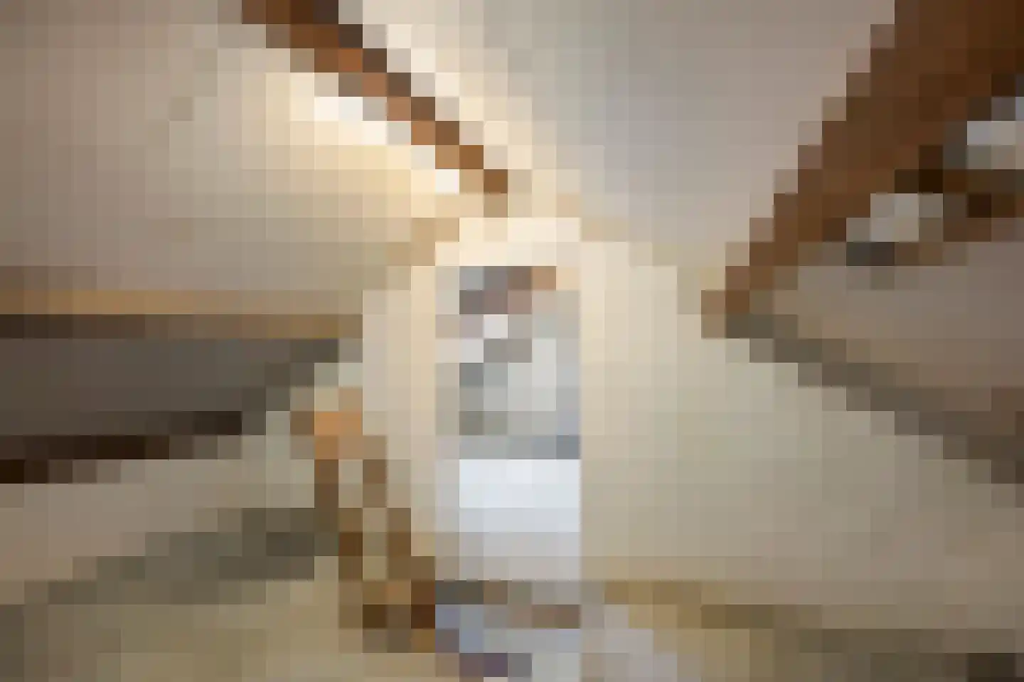 Hingenderstraat 72 Sint Joost thumbnail 36