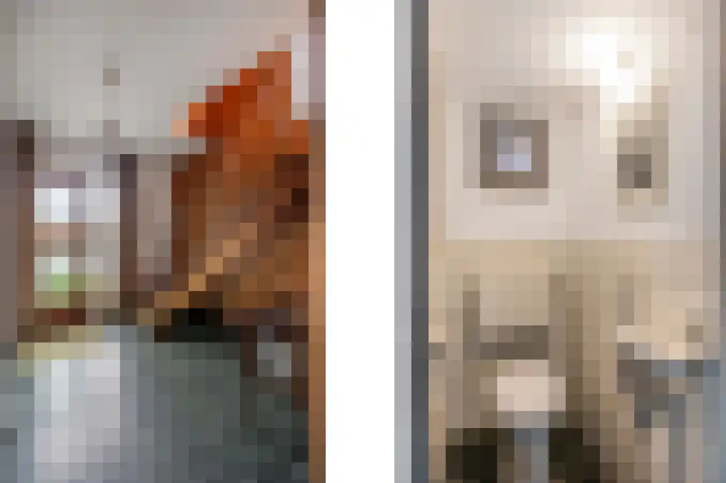 Hingenderstraat 72 Sint Joost thumbnail 9