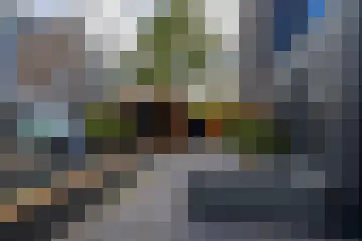 Hink Oostingstraat 52 't Zandt thumbnail 26