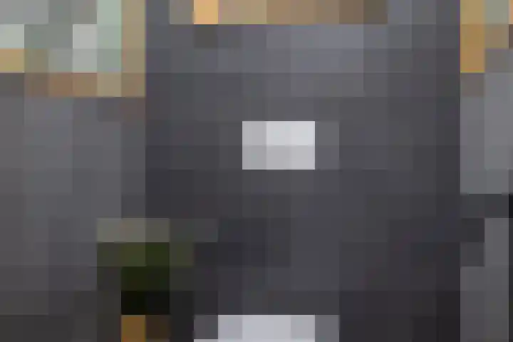 Hink Oostingstraat 52 't Zandt thumbnail 33
