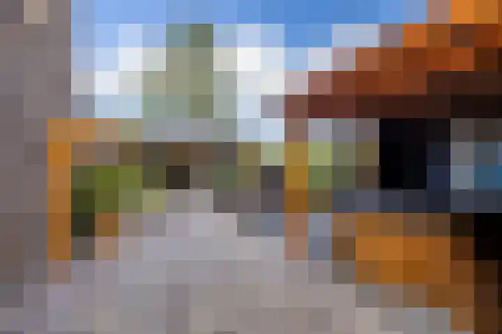 Hink Oostingstraat 52 't Zandt thumbnail 4
